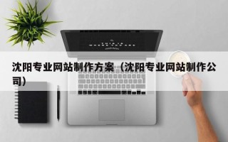 南县沈阳专业网站制作方案（沈阳专业网站制作公司）